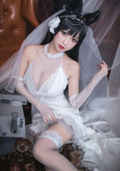 九重紫免费