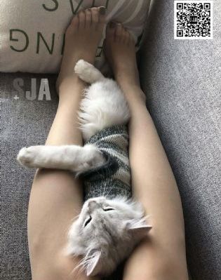 甄嬛传电视剧免费观看