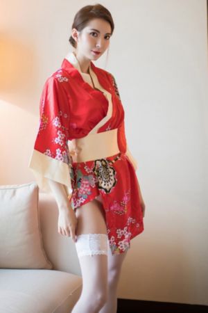 画心师