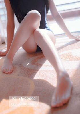 施公奇案 电视剧