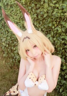 九重紫多少集