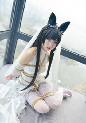 黑帮老大365