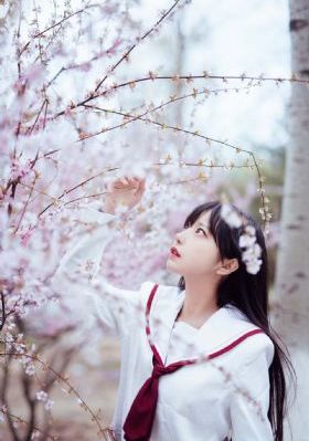 免费看电视
